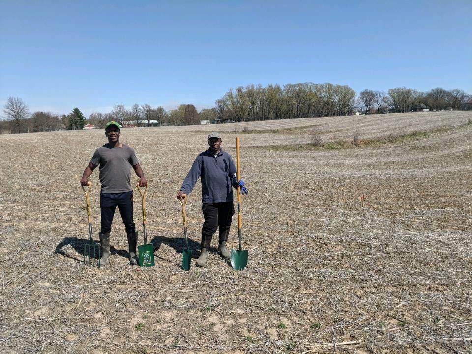 Global Greens Farming in Pleasant Hill